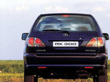 雷克萨斯RX 2004款  300_高清图18