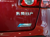 逍客 2008款  20XV龙 CVT 4WD_高清图29