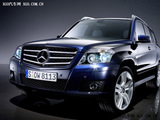 奔驰GLK(进口) 2008款 奔驰GLK GLK300 4MATIC 豪华型_高清图6