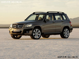 奔驰GLK(进口) 2008款 奔驰GLK GLK300 4MATIC 豪华型_高清图11