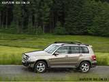 奔驰GLK(进口) 2008款 奔驰GLK GLK300 4MATIC 豪华型_高清图16