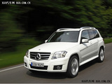 奔驰GLK(进口) 2008款 奔驰GLK GLK300 4MATIC 豪华型_高清图21