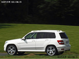 奔驰GLK(进口) 2008款 奔驰GLK GLK300 4MATIC 豪华型_高清图22