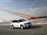 奔驰GLK(进口) 2008款 奔驰GLK GLK300 4MATIC 豪华型_高清图26