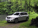 奔驰GLK(进口) 2008款 奔驰GLK GLK300 4MATIC 豪华型_高清图30