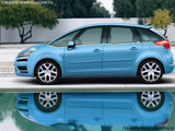 C4 PICASSO 2009款 C4毕加索 Grand 2.0L 舒适型_高清图33