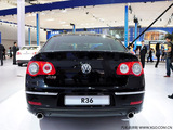 Passat 2008款  R36 3.6 I FSI_高清图28