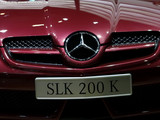 奔驰SLK级 2009款 奔驰SLK SLK 200K_高清图1