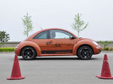 甲壳虫 2010款  1.8T BlackOrange豪华版_高清图20