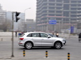 奥迪Q5(进口) 2010款  2.0TSI 运动版_高清图11