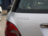 奔驰R级 2009款  R 300L 豪华型_高清图4