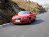 奥迪TT 2008款  Roadster 2.0TFSI_高清图29