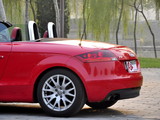 奥迪TT 2008款  Roadster 2.0TFSI_高清图14