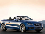 奥迪S5 2010款  3.0T S5 Cabriolet_高清图33