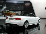 奥迪S5 2010款  3.0T S5 Cabriolet_高清图32