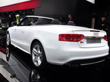 奥迪S5 2010款  3.0T S5 Cabriolet_高清图31