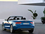 奥迪S5 2010款  3.0T S5 Cabriolet_高清图27