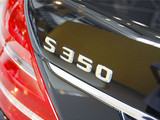 奔驰S级 2010款  S 350L 豪华型_高清图30