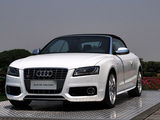 奥迪S5 2010款  3.0T S5 Cabriolet_高清图31