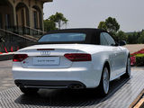 奥迪S5 2010款  3.0T S5 Cabriolet_高清图35