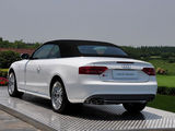 奥迪S5 2010款  3.0T S5 Cabriolet_高清图34