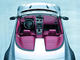 V8 Vantage 2007款  4.3 Manual Roadster_高清图22