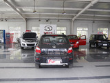 炫丽 2009款  1.3L VVT CROSS_高清图10