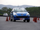 标致207 2009款  两厢1.6L 自动享乐版_高清图17