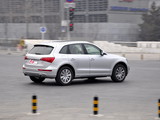 奥迪Q5(进口) 2010款  2.0TSI 运动版_高清图16