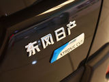 奇骏 2009款  2.5L XV 旗舰版 CVT 4WD_高清图11
