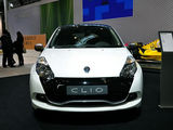 Clio 2009款 雷诺 基本型_高清图24