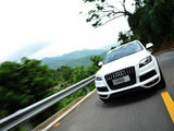 奥迪Q7 2011款  3.0 S-line 基本型_高清图2