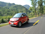 smart fortwo 2009款 Smart fortwo 1.0 MHD 硬顶标准版_高清图31