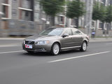 沃尔沃S80L 2010款  3.0 T6 AWD 智尊版_高清图15