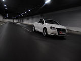 大众Eos 2010款  2.0TSI DSG 月夜版_高清图20