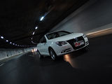 大众Eos 2010款  2.0TSI DSG 月夜版_高清图13