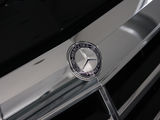 奔驰E级 2010款  E300L 时尚型_高清图10