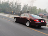 奔驰CLS级 2009款 奔驰CLS CLS 350_高清图1