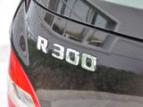 奔驰R级 2010款  R 300L 商务型_高清图3