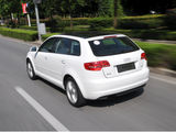 奥迪A3(进口) 2010款 奥迪A3 Sportback 1.4T 舒适型_高清图13