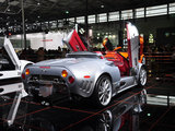 世爵C8 2009款  Spyder SWB_高清图11