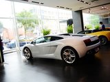 Gallardo 2010款  5.2 LP550-2 标准版_高清图26