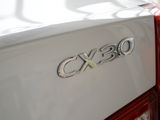 长安CX30 2011款  三厢 1.6 MT标准型_高清图11