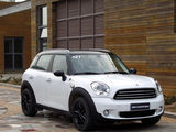 MINI COUNTRYMAN 2011款  COOPER Excitement 1.6L_高清图27