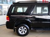 挑战者SUV 2010款  2.0两驱 DD6490P_高清图2