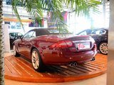 捷豹XK 2009款  XKR 5.0L V8机械增压敞篷跑车_高清图18