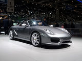 Boxster 2010款 保时捷 spyder_高清图8