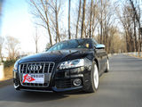 奥迪S5 2010款  3.0T S5 Sportback_高清图9