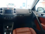 Tiguan 2009款  2.0TSI 豪华版_高清图3