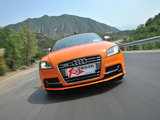 奥迪TTS 2011款  Coupe 2.0TFSI quattro_高清图19